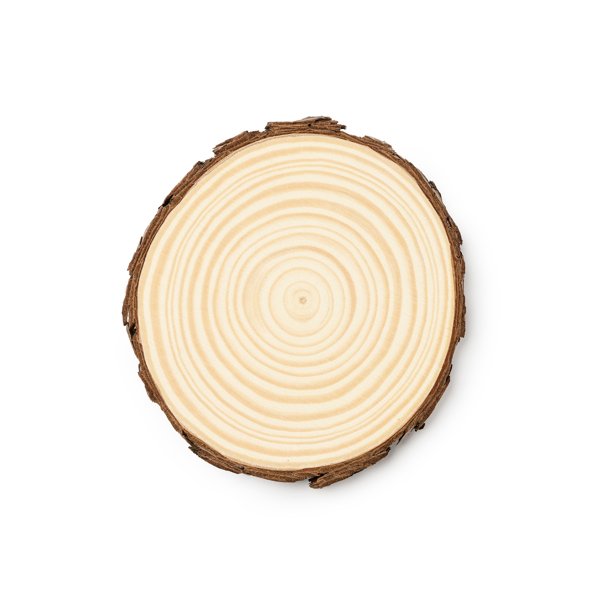 PINEA - Image 2